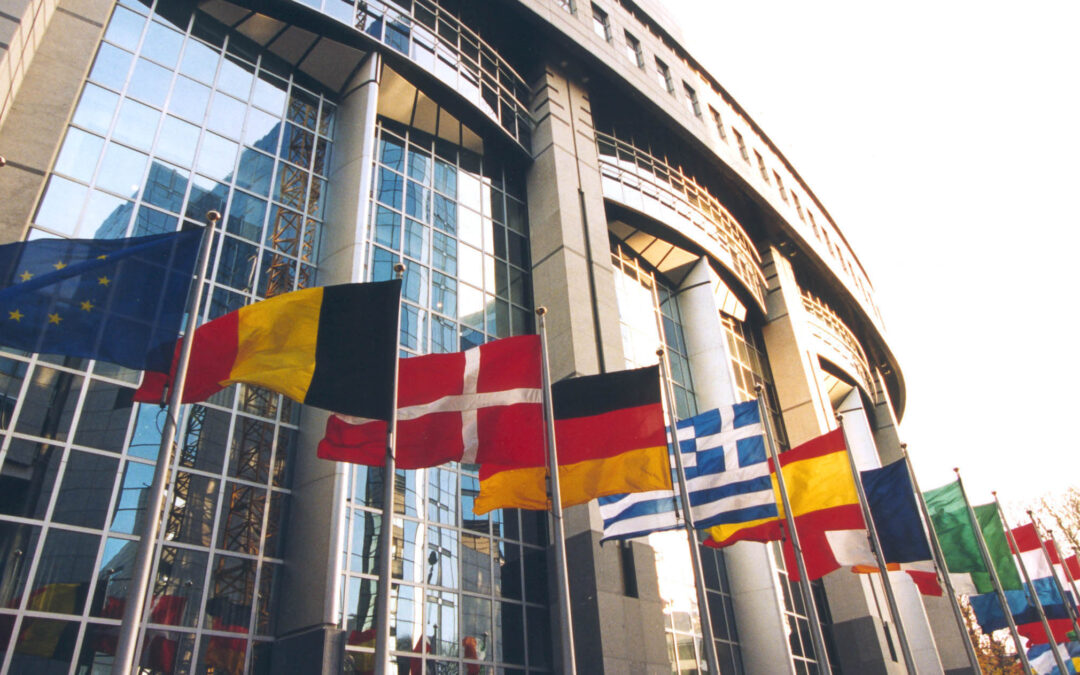 «Personen, die Missstände aufdecken, werden noch immer als Nestbeschmutzer gesehen»