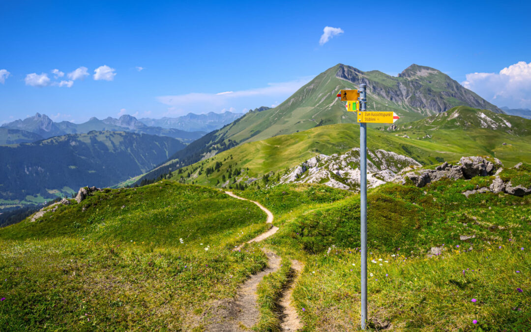 Bilaterale III – Interview mit Monika Rühl, Vorsitzende der Geschäftsleitung von economiesuisse