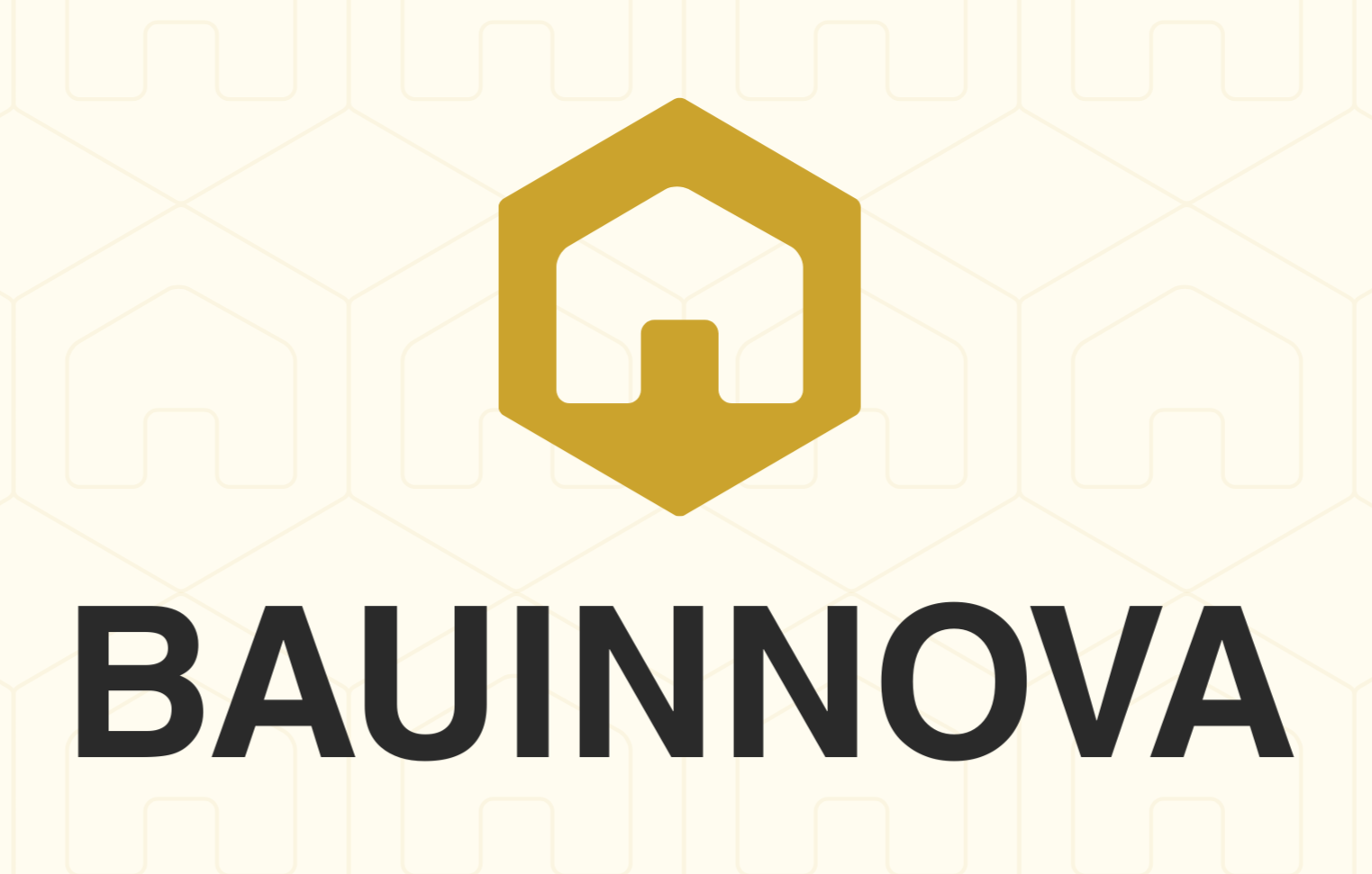 BauInnova AG