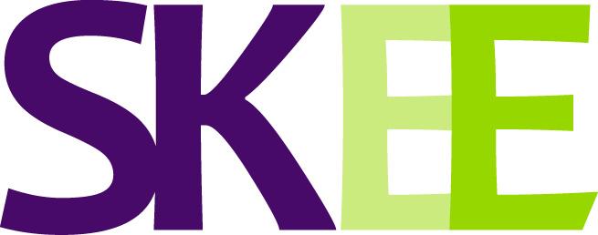 SK ElektroEngingeering AG