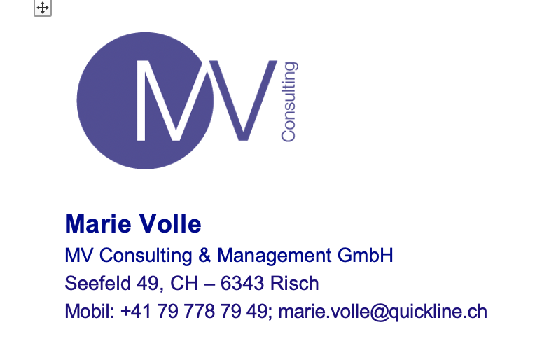 MV Consulting & Management GmbH