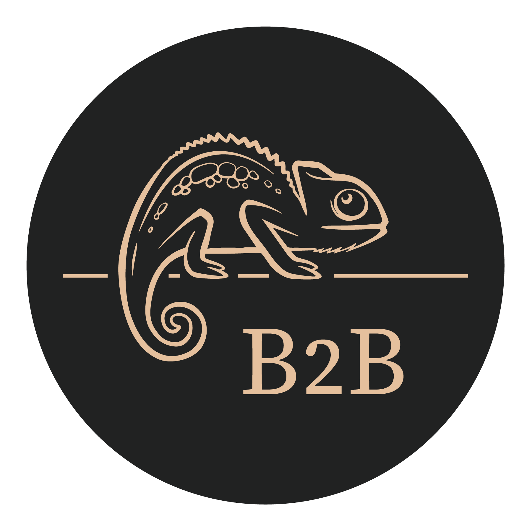 B2B Coaching by Boris Brändli